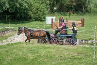 018 MANIABILITE - ATTELAGE - 27052017-ATE 1032 : 2017, 27 Mai 2017, Concours ATTELAGE 2017, D202, Maniabilité, P02