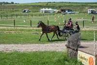 020 MANIABILITE - ATTELAGE - 27052017-ATE 1034 : 2017, 27 Mai 2017, Concours ATTELAGE 2017, D202, Maniabilité, P02