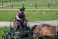 023 MANIABILITE - ATTELAGE - 27052017-ATE 1037 : 2017, 27 Mai 2017, Concours ATTELAGE 2017, D202, Maniabilité, P02