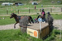 026 MANIABILITE - ATTELAGE - 27052017-ATE 1040 : 2017, 27 Mai 2017, Concours ATTELAGE 2017, D202, Maniabilité, P02