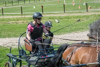 029 MANIABILITE - ATTELAGE - 27052017-ATE 1043 : 2017, 27 Mai 2017, Concours ATTELAGE 2017, D202, Maniabilité, P02