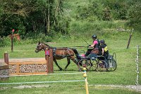 030 MANIABILITE - ATTELAGE - 27052017-ATE 1044 : 2017, 27 Mai 2017, Concours ATTELAGE 2017, D202, Maniabilité, P02