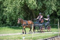 031 MANIABILITE - ATTELAGE - 27052017-ATE 1045 : 2017, 27 Mai 2017, Concours ATTELAGE 2017, D202, Maniabilité, P02