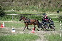 032 MANIABILITE - ATTELAGE - 27052017-ATE 1046 : 2017, 27 Mai 2017, Concours ATTELAGE 2017, D202, Maniabilité, P02