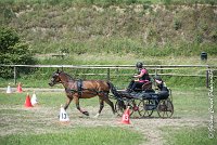 033 MANIABILITE - ATTELAGE - 27052017-ATE 1047 : 2017, 27 Mai 2017, Concours ATTELAGE 2017, D202, Maniabilité, P02