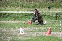 034 MANIABILITE - ATTELAGE - 27052017-ATE 1048 : 2017, 27 Mai 2017, Concours ATTELAGE 2017, D202, Maniabilité, P02