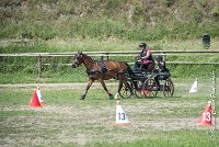 035 MANIABILITE - ATTELAGE - 27052017-ATE 1049 : 2017, 27 Mai 2017, Concours ATTELAGE 2017, D202, Maniabilité, P02