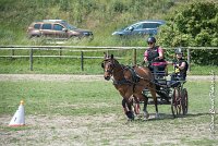 036 MANIABILITE - ATTELAGE - 27052017-ATE 1050 : 2017, 27 Mai 2017, Concours ATTELAGE 2017, D202, Maniabilité, P02