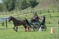 039 MANIABILITE - ATTELAGE - 27052017-ATE 1053 : 2017, 27 Mai 2017, Concours ATTELAGE 2017, D202, Maniabilité, P02