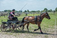 040 MANIABILITE - ATTELAGE - 27052017-ATE 1054 : 2017, 27 Mai 2017, Concours ATTELAGE 2017, D202, Maniabilité, P02