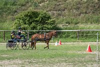 001 MANIABILITE - ATTELAGE - 27052017-ATE 1281 : 2017, 27 Mai 2017, Concours ATTELAGE 2017, D204, Maniabilité, P09