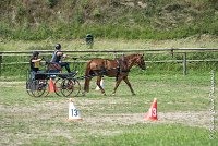 002 MANIABILITE - ATTELAGE - 27052017-ATE 1282 : 2017, 27 Mai 2017, Concours ATTELAGE 2017, D204, Maniabilité, P09