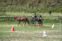 003 MANIABILITE - ATTELAGE - 27052017-ATE 1283 : 2017, 27 Mai 2017, Concours ATTELAGE 2017, D204, Maniabilité, P09