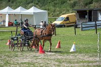 004 MANIABILITE - ATTELAGE - 27052017-ATE 1284 : 2017, 27 Mai 2017, Concours ATTELAGE 2017, D204, Maniabilité, P09