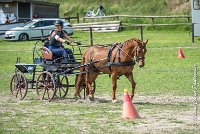 005 MANIABILITE - ATTELAGE - 27052017-ATE 1285 : 2017, 27 Mai 2017, Concours ATTELAGE 2017, D204, Maniabilité, P09