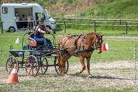 006 MANIABILITE - ATTELAGE - 27052017-ATE 1286 : 2017, 27 Mai 2017, Concours ATTELAGE 2017, D204, Maniabilité, P09