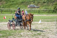 007 MANIABILITE - ATTELAGE - 27052017-ATE 1287 : 2017, 27 Mai 2017, Concours ATTELAGE 2017, D204, Maniabilité, P09