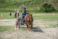 008 MANIABILITE - ATTELAGE - 27052017-ATE 1288 : 2017, 27 Mai 2017, Concours ATTELAGE 2017, D204, Maniabilité, P09