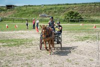 009 MANIABILITE - ATTELAGE - 27052017-ATE 1289 : 2017, 27 Mai 2017, Concours ATTELAGE 2017, D204, Maniabilité, P09