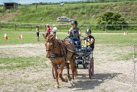 010 MANIABILITE - ATTELAGE - 27052017-ATE 1290 : 2017, 27 Mai 2017, Concours ATTELAGE 2017, D204, Maniabilité, P09
