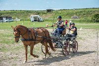 011 MANIABILITE - ATTELAGE - 27052017-ATE 1291 : 2017, 27 Mai 2017, Concours ATTELAGE 2017, D204, Maniabilité, P09