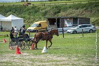 012 MANIABILITE - ATTELAGE - 27052017-ATE 1292 : 2017, 27 Mai 2017, Concours ATTELAGE 2017, D204, Maniabilité, P09