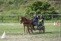 014 MANIABILITE - ATTELAGE - 27052017-ATE 1294 : 2017, 27 Mai 2017, Concours ATTELAGE 2017, D204, Maniabilité, P09