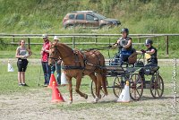 015 MANIABILITE - ATTELAGE - 27052017-ATE 1295 : 2017, 27 Mai 2017, Concours ATTELAGE 2017, D204, Maniabilité, P09