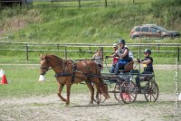 016 MANIABILITE - ATTELAGE - 27052017-ATE 1296 : 2017, 27 Mai 2017, Concours ATTELAGE 2017, D204, Maniabilité, P09