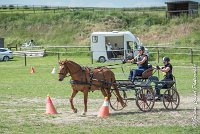 017 MANIABILITE - ATTELAGE - 27052017-ATE 1297 : 2017, 27 Mai 2017, Concours ATTELAGE 2017, D204, Maniabilité, P09