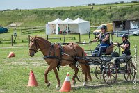 019 MANIABILITE - ATTELAGE - 27052017-ATE 1299 : 2017, 27 Mai 2017, Concours ATTELAGE 2017, D204, Maniabilité, P09