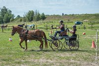 020 MANIABILITE - ATTELAGE - 27052017-ATE 1300 : 2017, 27 Mai 2017, Concours ATTELAGE 2017, D204, Maniabilité, P09