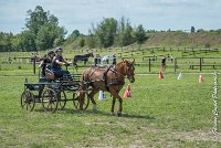 021 MANIABILITE - ATTELAGE - 27052017-ATE 1301 : 2017, 27 Mai 2017, Concours ATTELAGE 2017, D204, Maniabilité, P09