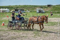 022 MANIABILITE - ATTELAGE - 27052017-ATE 1302 : 2017, 27 Mai 2017, Concours ATTELAGE 2017, D204, Maniabilité, P09