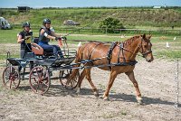 023 MANIABILITE - ATTELAGE - 27052017-ATE 1303 : 2017, 27 Mai 2017, Concours ATTELAGE 2017, D204, Maniabilité, P09