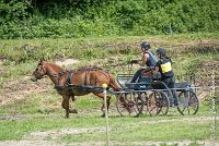 024 MANIABILITE - ATTELAGE - 27052017-ATE 1305 : 2017, 27 Mai 2017, Concours ATTELAGE 2017, D204, Maniabilité, P09