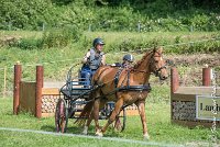 026 MANIABILITE - ATTELAGE - 27052017-ATE 1307 : 2017, 27 Mai 2017, Concours ATTELAGE 2017, D204, Maniabilité, P09