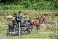 027 MANIABILITE - ATTELAGE - 27052017-ATE 1308 : 2017, 27 Mai 2017, Concours ATTELAGE 2017, D204, Maniabilité, P09