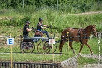 028 MANIABILITE - ATTELAGE - 27052017-ATE 1309 : 2017, 27 Mai 2017, Concours ATTELAGE 2017, D204, Maniabilité, P09