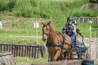 029 MANIABILITE - ATTELAGE - 27052017-ATE 1311 : 2017, 27 Mai 2017, Concours ATTELAGE 2017, D204, Maniabilité, P09