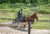 030 MANIABILITE - ATTELAGE - 27052017-ATE 1313 : 2017, 27 Mai 2017, Concours ATTELAGE 2017, D204, Maniabilité, P09