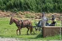 032 MANIABILITE - ATTELAGE - 27052017-ATE 1315 : 2017, 27 Mai 2017, Concours ATTELAGE 2017, D204, Maniabilité, P09