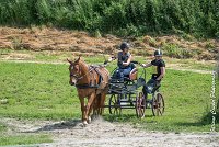 033 MANIABILITE - ATTELAGE - 27052017-ATE 1316 : 2017, 27 Mai 2017, Concours ATTELAGE 2017, D204, Maniabilité, P09