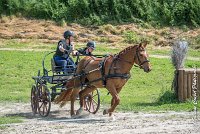 034 MANIABILITE - ATTELAGE - 27052017-ATE 1317 : 2017, 27 Mai 2017, Concours ATTELAGE 2017, D204, Maniabilité, P09