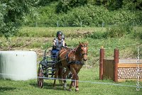 036 MANIABILITE - ATTELAGE - 27052017-ATE 1320 : 2017, 27 Mai 2017, Concours ATTELAGE 2017, D204, Maniabilité, P09