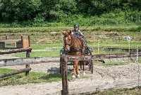 037 MANIABILITE - ATTELAGE - 27052017-ATE 1321 : 2017, 27 Mai 2017, Concours ATTELAGE 2017, D204, Maniabilité, P09