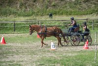 040 MANIABILITE - ATTELAGE - 27052017-ATE 1325 : 2017, 27 Mai 2017, Concours ATTELAGE 2017, D204, Maniabilité, P09