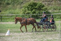 041 MANIABILITE - ATTELAGE - 27052017-ATE 1326 : 2017, 27 Mai 2017, Concours ATTELAGE 2017, D204, Maniabilité, P09