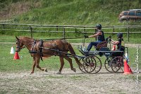 042 MANIABILITE - ATTELAGE - 27052017-ATE 1327 : 2017, 27 Mai 2017, Concours ATTELAGE 2017, D204, Maniabilité, P09