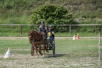 043 MANIABILITE - ATTELAGE - 27052017-ATE 1328 : 2017, 27 Mai 2017, Concours ATTELAGE 2017, D204, Maniabilité, P09